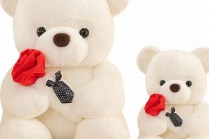 Cuddly Teddy Bears: Perfect Gifts From Boyfriends | Teddy Information – Everything You Need to Know About Teddy Bears