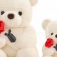 Cuddly Teddy Bears: Perfect Gifts From Boyfriends | Teddy Information – Everything You Need to Know About Teddy Bears