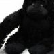 Cuddly Gorilla Teddy Bears: Soft & Wild | Teddy Information – Everything You Need to Know About Teddy Bears