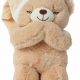 Sweet Dreams: Praying Teddy Bear Bedtime Prayer | Teddy Information – Everything You Need to Know About Teddy Bears