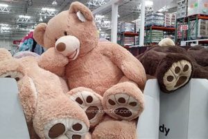 Giant 53" Costco Teddy Bear: Cuddly Plush Teddy Information – Everything You Need to Know About Teddy Bears Giant 53" Costco Teddy Bear: Cuddly Plush | Teddy Information – Everything You Need to Know About Teddy Bears