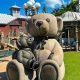 Stillwater Mn Teddy Bear Park | Teddy Information – Everything You Need to Know About Teddy Bears