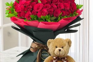 Cuddly Teddy with Red Rose: A Classic Gift Teddy Information – Everything You Need to Know About Teddy Bears Cuddly Teddy with Red Rose: A Classic Gift | Teddy Information – Everything You Need to Know About Teddy Bears