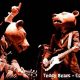 The Teddybears' Hit: Cobrastyle (2006) | Teddy Information – Everything You Need to Know About Teddy Bears