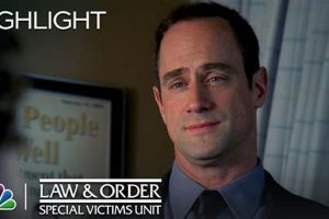 The Comforting SVU Teddy Bear: A Symbol of Hope Teddy Information – Everything You Need to Know About Teddy Bears The Comforting SVU Teddy Bear: A Symbol of Hope | Teddy Information – Everything You Need to Know About Teddy Bears