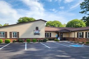 My Teddy Bear Daycare: Fun & Cuddles Teddy Information – Everything You Need to Know About Teddy Bears My Teddy Bear Daycare: Fun & Cuddles | Teddy Information – Everything You Need to Know About Teddy Bears