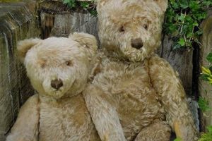 Shop Antique & Vintage Teddy Bears for Sale | Teddy Information – Everything You Need to Know About Teddy Bears