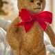 My Teddy Bear's Grand Holiday Adventure | Teddy Information – Everything You Need to Know About Teddy Bears