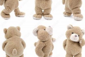 Teddy Bear Tail: A Complete Guide Teddy Information – Everything You Need to Know About Teddy Bears Teddy Bear Tail: A Complete Guide | Teddy Information – Everything You Need to Know About Teddy Bears