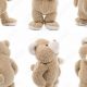 Teddy Bear Tail: A Complete Guide | Teddy Information – Everything You Need to Know About Teddy Bears