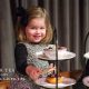 Enchanting Teddy Bear Tea at Hotel Zachary Chicago | Teddy Information – Everything You Need to Know About Teddy Bears