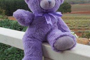 Cute Lavender Teddy Bears: Soft & Cuddly | Teddy Information – Everything You Need to Know About Teddy Bears