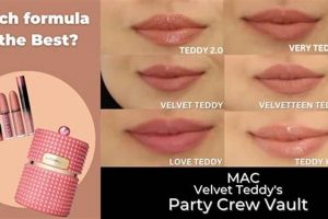 MAC Warm Teddy vs. Velvet Teddy: Ultimate Lipstick Showdown | Teddy Information – Everything You Need to Know About Teddy Bears