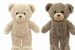 Spark Your Imagination: Create a Teddy Bear | Teddy Information – Everything You Need to Know About Teddy Bears