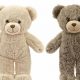 Spark Your Imagination: Create a Teddy Bear | Teddy Information – Everything You Need to Know About Teddy Bears