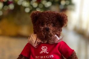 Enchanting St. Regis Teddy Bear Tea Experience | Teddy Information – Everything You Need to Know About Teddy Bears