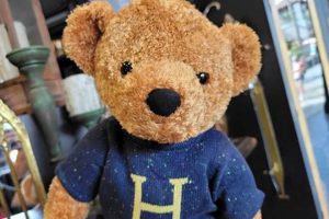 Cute Harry Potter Teddy Bears: Plush Toys | Teddy Information – Everything You Need to Know About Teddy Bears