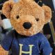 Cute Harry Potter Teddy Bears: Plush Toys | Teddy Information – Everything You Need to Know About Teddy Bears