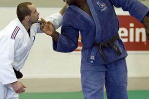 Teddy Riner's Height: How Tall is the Judo Star? | Teddy Information – Everything You Need to Know About Teddy Bears