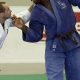 Teddy Riner's Height: How Tall is the Judo Star? | Teddy Information – Everything You Need to Know About Teddy Bears