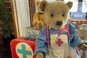 The Best Teddy Bear Hospital: A Guide Teddy Information – Everything You Need to Know About Teddy Bears The Best Teddy Bear Hospital: A Guide | Teddy Information – Everything You Need to Know About Teddy Bears