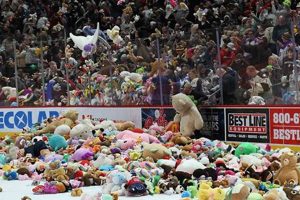 Get Ready for Teddy Bear Toss 2025! Teddy Information – Everything You Need to Know About Teddy Bears Get Ready for Teddy Bear Toss 2025! | Teddy Information – Everything You Need to Know About Teddy Bears
