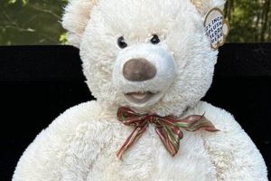 Hugfun International Teddy Bear | Teddy Information – Everything You Need to Know About Teddy Bears