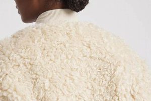 Stylish Teddy Bomber Jackets for Winter | Teddy Information – Everything You Need to Know About Teddy Bears