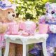 Enchanting Teddy Bear Tea Party Ideas & Tips | Teddy Information – Everything You Need to Know About Teddy Bears