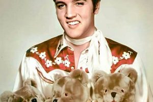 Cuddly Elvis Teddy Bears: Plush Collectibles | Teddy Information – Everything You Need to Know About Teddy Bears