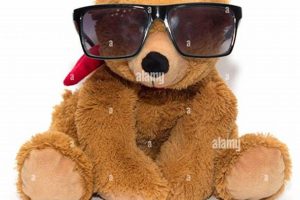 Cool Teddy Bears: Plush & Stylish Companions | Teddy Information – Everything You Need to Know About Teddy Bears