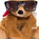 Cool Teddy Bears: Plush & Stylish Companions | Teddy Information – Everything You Need to Know About Teddy Bears