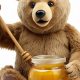 Cuddly Teddy Bears & Sweet Honey | Teddy Information – Everything You Need to Know About Teddy Bears