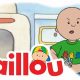 Cute Caillou Teddy Bear Shirts for Kids | Teddy Information – Everything You Need to Know About Teddy Bears