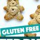 Best Gluten-Free Teddy Grahams: A Guide | Teddy Information – Everything You Need to Know About Teddy Bears