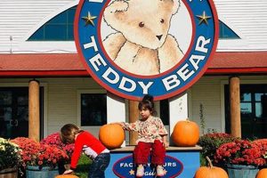 Vermont Teddy Bear: Facebook Community &amp; Shop | Teddy Information – Everything You Need to Know About Teddy Bears