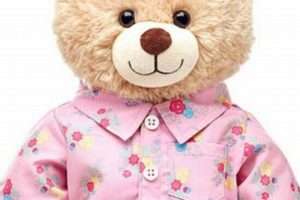 Cuddly Teddy Bears with Adorable Outfits | Teddy Information – Everything You Need to Know About Teddy Bears