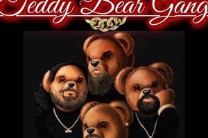 The Cuddly Teddy Bear Gang's Guide Teddy Information – Everything You Need to Know About Teddy Bears The Cuddly Teddy Bear Gang's Guide | Teddy Information – Everything You Need to Know About Teddy Bears
