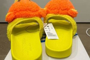 Cozy Teddy Slides: Ultimate Comfort | Teddy Information – Everything You Need to Know About Teddy Bears