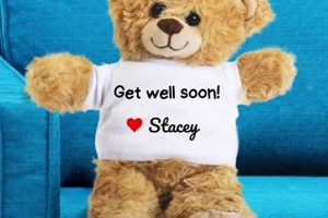 Cuddly Get Well Teddy Bears: Comfort & Joy | Teddy Information – Everything You Need to Know About Teddy Bears