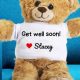 Cuddly Get Well Teddy Bears: Comfort & Joy | Teddy Information – Everything You Need to Know About Teddy Bears
