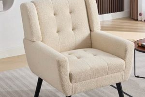 Cozy Teddy Material Chairs: Soft & Plush | Teddy Information – Everything You Need to Know About Teddy Bears