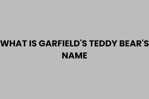 Garfield's Teddy Bear: What's Its Name? | Teddy Information – Everything You Need to Know About Teddy Bears