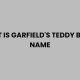 Garfield's Teddy Bear: What's Its Name? | Teddy Information – Everything You Need to Know About Teddy Bears