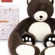 Cozy Heat Teddy Bears: Warmth & Comfort | Teddy Information – Everything You Need to Know About Teddy Bears