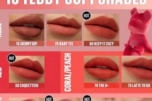 Maybelline Teddy Tint: Release Date & Shades | Teddy Information – Everything You Need to Know About Teddy Bears