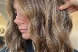 Teddy Bear Bronde Hair Color | Teddy Information – Everything You Need to Know About Teddy Bears