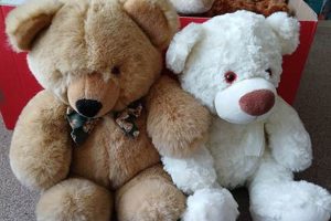 Complete Guide to Fixing Teddy Bears & More | Teddy Information – Everything You Need to Know About Teddy Bears