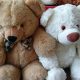 Complete Guide to Fixing Teddy Bears & More | Teddy Information – Everything You Need to Know About Teddy Bears