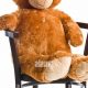 Cozy Teddy Bear on Chair: Comfort & Calm | Teddy Information – Everything You Need to Know About Teddy Bears